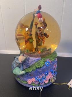 #34 Disney Winnie the Pooh and Christopher Robin Snow Globe