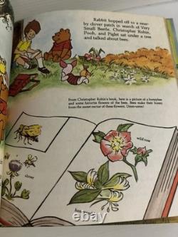 5 x Vintage 1980 Disney's Adventures of Winnie The Pooh Large Golden Books