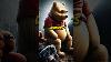 All Winnie The Pooh Characters Have Mental Disorders
