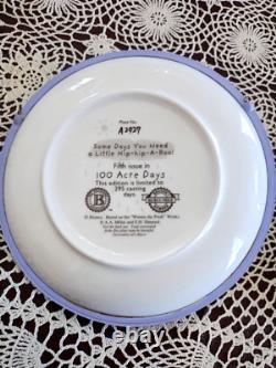 Bradford Exch. Lot Of 10 Disney Winnie The Pooh 3D Plates, 100 Acre Days Series