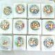 Bradford Exchange Disney Winnie The Pooh And Friends Plates Collection Set 12
