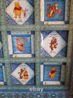 Bradford Exchange Disney's Winnie The Pooh Hundred Acre Wisdom 12 Plates Framed