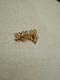 Disney Auctions Baby Winnie The Pooh Train Conductor Le 250 Disney Piglet Tigger