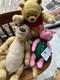 Disney Christopher Robin Movie Plush Lot-pooh, Tigger & Piglet Free Shipping