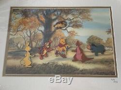 Disney Disneyland Winnie the Pooh & Friends LE 500 Framed Pin Set