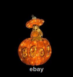 Disney RARE Halloween Eeyore Pumpkin Boo 19.5x29.5 Light Up Stand Display HTF