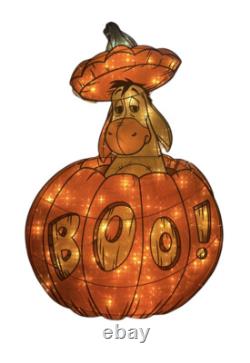 Disney RARE Halloween Eeyore Pumpkin Boo 19.5x29.5 Light Up Stand Display HTF