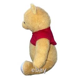 Disney Store Winnie The Pooh Christopher Robin Live Action Plush