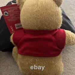 Disney Store Winnie The Pooh Christopher Robin Plush