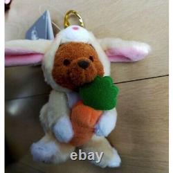 Disney Winnie The Pooh Key Chain Plush Set of 5 Zodiac Rabbit 2023 Japan