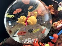 Disney Winnie the Pooh Blustery day snowglobe music box collectiable