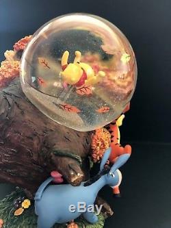 Disney Winnie the Pooh Blustery day snowglobe music box collectiable