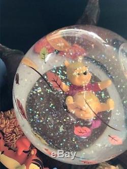 Disney Winnie the Pooh Blustery day snowglobe music box collectiable