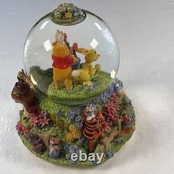 Disney Winnie the Pooh & Friends Musical Snow Globe Easter Parade Egg Hunt Works