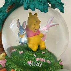 Disney Winnie the Pooh Springtime Bunnies Musical Motion Figurine Duo SnowGlobes