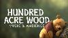 Hundred Acre Woods Music And Ambience