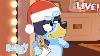 Live It S A Bluey Christmas 40 Minutes Bluey