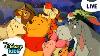 Live The New Adventures Of Winnie The Pooh 24 7 Full Episode Live Stream Disneykids