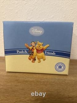 Pooh & friends Disney collection, waiting for a second wind rare