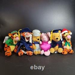 Set of 17 Collection The Disney Store Disneyland WDW Winnie The Pooh Tigger Eeyo