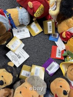 Vintage Retired Disney Store Winnie The Pooh Beanie Plush Toys Lot of 11