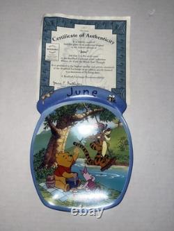 Vintage Winnie the Pooh Plates Calendar Plates Complete Set. MONTH SET