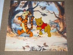 WINNIE THE POOH Animation Cel Walt Disney Cartoon Art Vintage 1960's Tigger I6