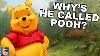 Why Is He Called Winnie The Pooh