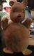 Winnie The Pooh Plush Antique Rattle