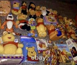 Winnie the Pooh Disney Collection Halloween Disneyland Mickey Mouse Disney World