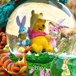Winnie the Pooh & Friends Disney 8 Musical Water Snow Globe Double WORKS VIDEO