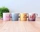 Winnie The Pooh Mug 4pcs Set 9x9x12cm/3.54x3.54x4.72 350ml/11.89oz Le Creuset