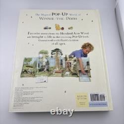 Winnie-the-Pooh Pop-up Book Rare Vintage Good Condition Children's Gift Japan