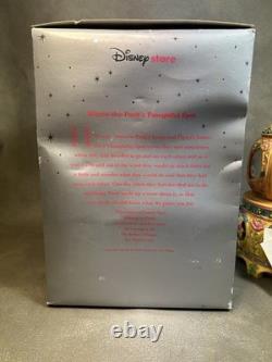 Winnie-the-Pooh's Thoughtful Spot Disney Store Snow Globe Music Box See Video