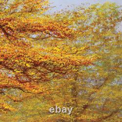26wx18h Autumn Leaves Par Peter Ellenshaw Winnie Les Choix De Pooh Des Canvas
