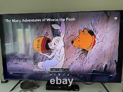 Disney Animation Art 1966 Winnie The Pooh & The Honey Tree Rabbit Production Cel