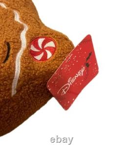 Disney Winnie L'Ourson Coussin de Noël en Pain d'Épices de Aldi RARE