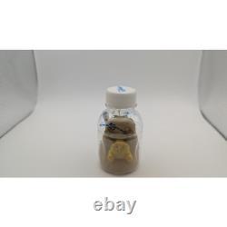 Disney Winnie l'Ourson Maison de Rabbit 1999 Exclusivité Japon Scellé