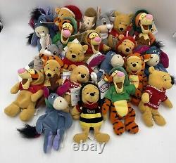 Énorme lot de 21 Winnie l'ourson 8 sacs de haricots différents personnages