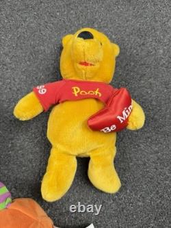 Ensemble de 11 peluches beanies Winnie l'Ourson de Disney Store vintage retirées