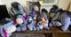 Lot De Jouets Disney Eeyore : 10+ Peluches Et Objets De Collection Vintage Et Modernes